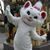 Kathy Thibodaux's profile image