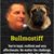 Joel JJ Morabito's profile image