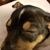 Diane Boire Wendhausen's profile image