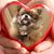 Kamal Patel's profile image
