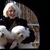 MaryLou Diffenderfer Richardson's profile image
