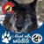 Patricia Gehring's profile image