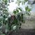 Emily B Seavey Warman's profile image