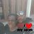 Erick Burrell's profile image