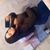 Jessica L Gomez's profile image