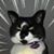 Anthony Bisceglie's profile image
