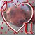 Mark D Tocci's profile image