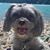 Kerry Johnson-Young's profile image