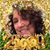 Teresa Villalobos Miles's profile image
