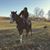 Liliana Denice Silva's profile image