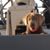 Tara Mark Hayes's profile image