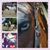 Jodi LeViner's profile image