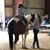 Stewart Stables's profile image