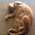 Linda Neborski's profile image
