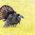 Dustin Hughes's profile image