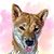 Lynn De Berard McCloud's profile image