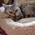 Jeanne Mahy's profile image
