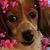 Vicki LaRue Barnes's profile image