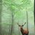 Linda Shackelford Gibson's profile image