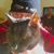 HiDee Strohlson's profile image