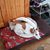 Lesa Divito's profile image