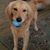 Elaine Monney's profile image