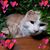 Kate Gill's profile image