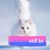 Bobby Phillips's profile image