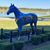 Lucy George's profile image