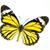Chuck Knoblauch's profile image