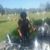 Marlynn Ohio's profile image