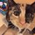 Anayah Smith's profile image
