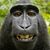 Angela DiMaria's profile image