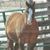 Arlene Severidt's profile image