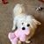 Merlene Ankrom Nelson's profile image