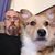 Rob Parkes's profile image