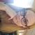 Amber McNeil's profile image