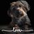 Denise Richards's profile image