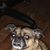 Lola Bean's profile image