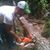 Nick Lockert's profile image