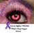 Dee Hohman's profile image