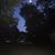 Diane Peepels Mazefsky's profile image