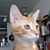 Delores Kirkwood's profile image