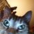 Sam Hartman's profile image