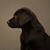 Tara Lea Adair's profile image