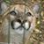 Kate Friday's profile image