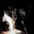 Judith Dieter's profile image