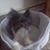Sherry Rayburn's profile image
