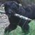 Bonnie Rardin's profile image