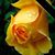 Teri Tarvin's profile image